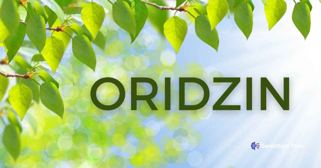 Unlocking the Wonders of Oridzin: A Comprehensive Guide