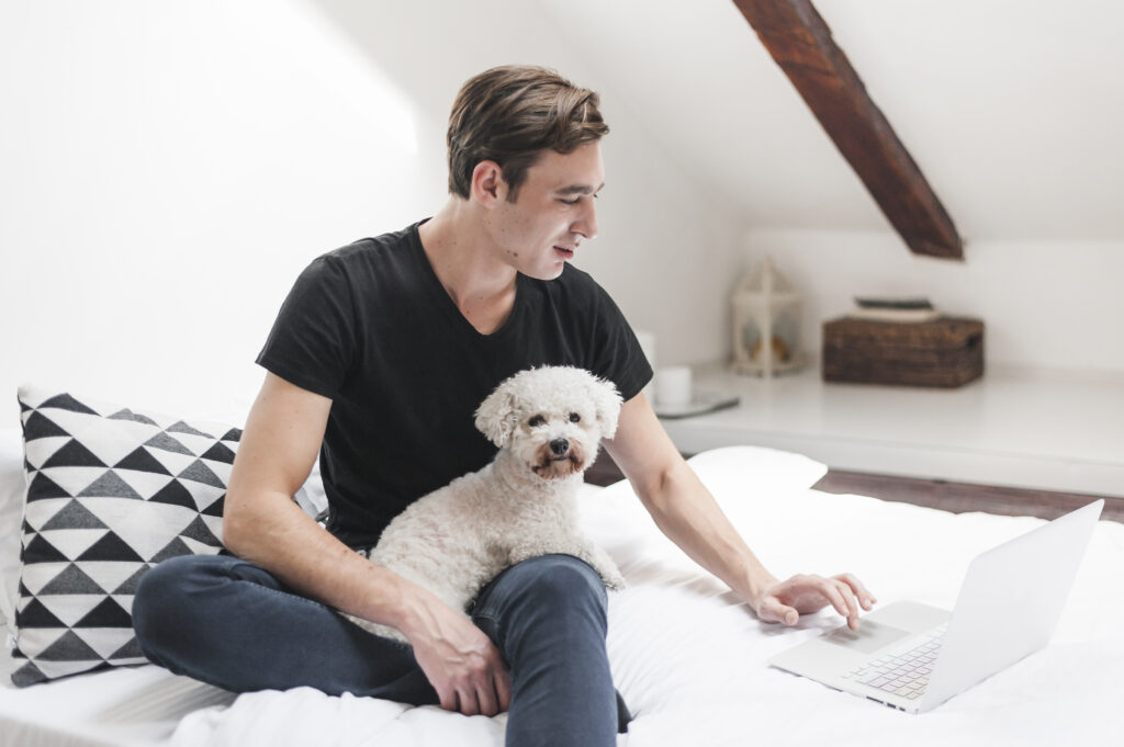 Factors to Consider When Selecting Pet-Friendly Lodging